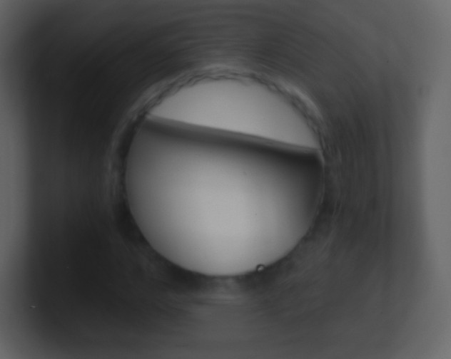 X0000101460968200807071128