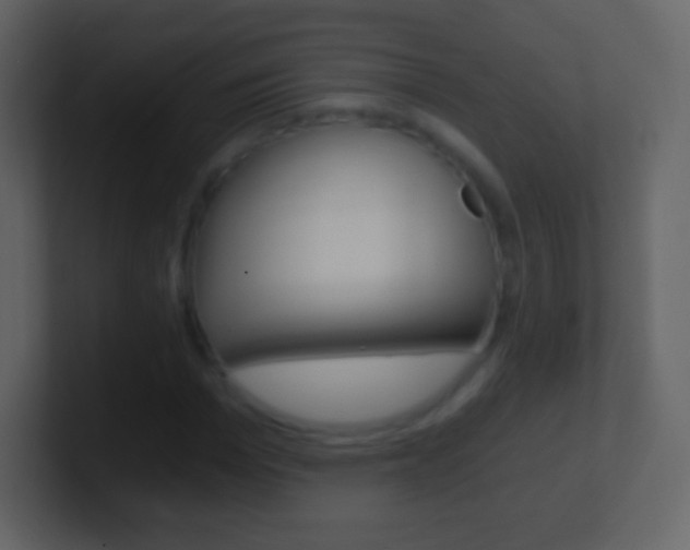 X0000101460969200807071128