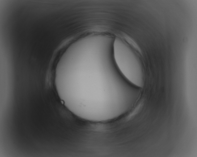 X0000101460970200807071128