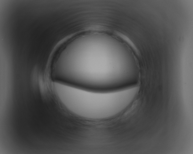 X0000101460971200807071128