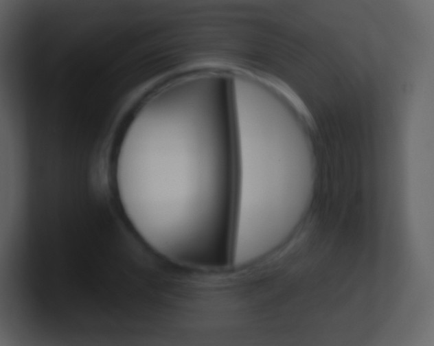 X0000101460972200807071128