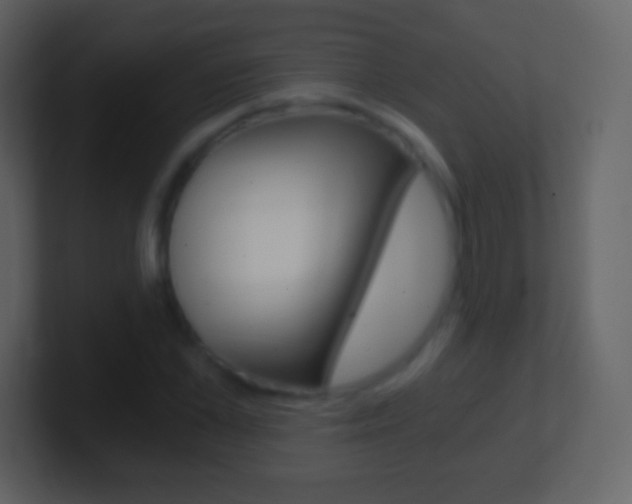 X0000101460973200807071128
