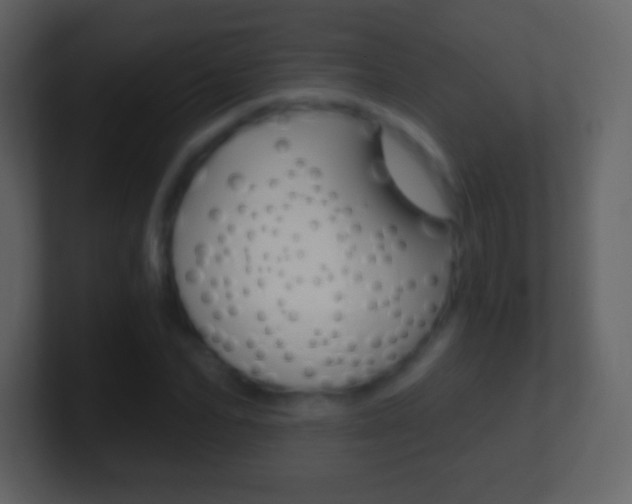X0000101460974200807071128
