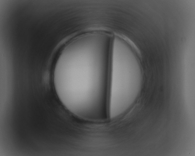 X0000101460975200807071128
