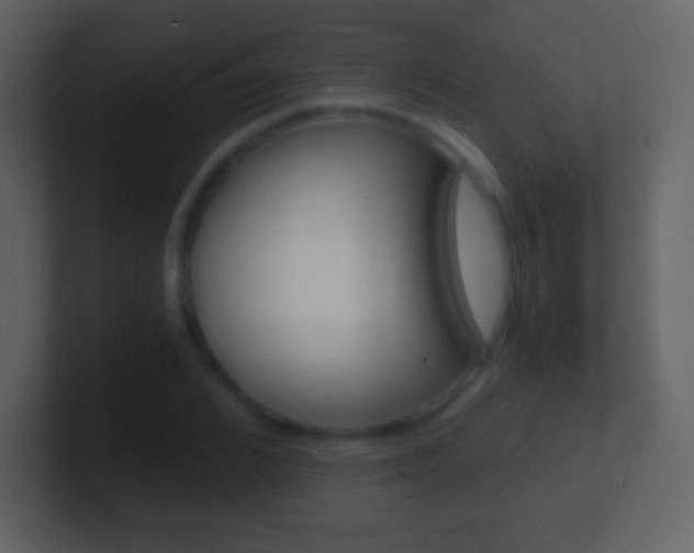 X0000101460976200807071128