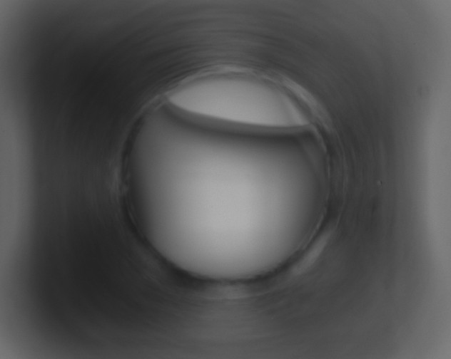 X0000101460977200807071128