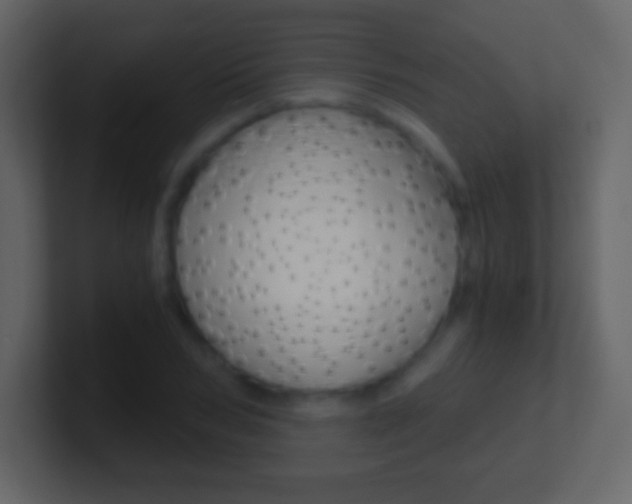 X0000101460978200807071128