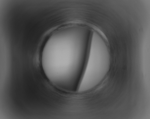 X0000101460979200807071128