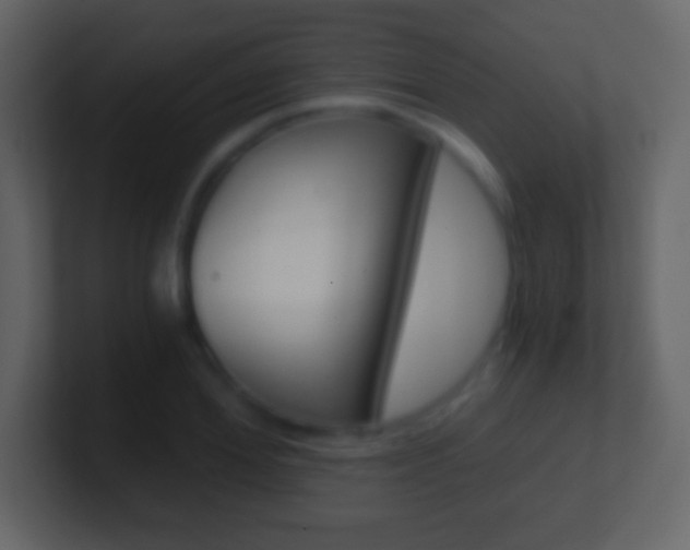 X0000101460980200807071128
