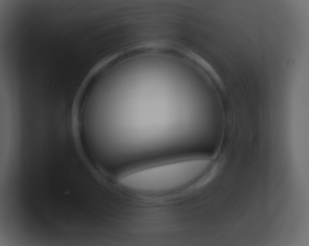 X0000101460981200807071128