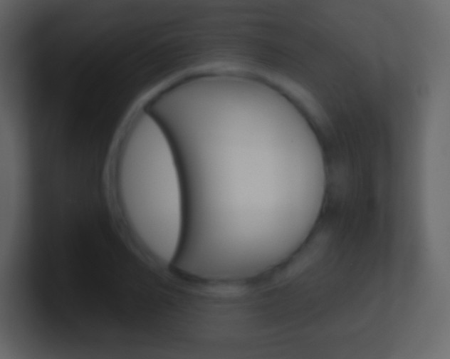 X0000101460982200807071128