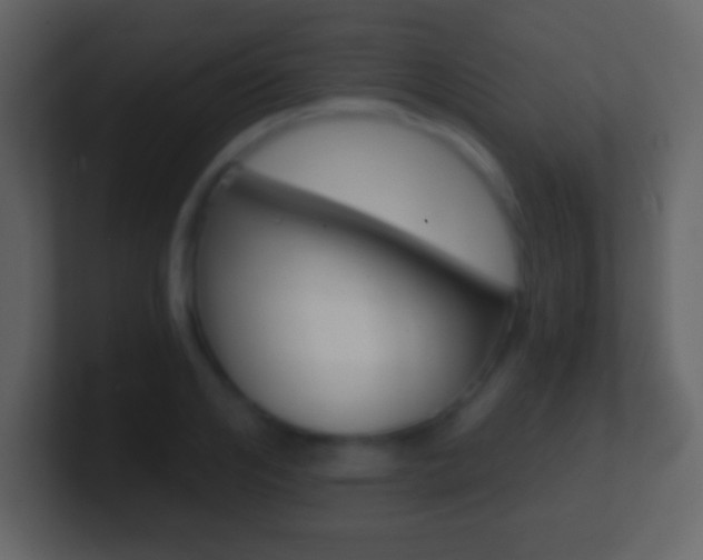 X0000101460984200807071128