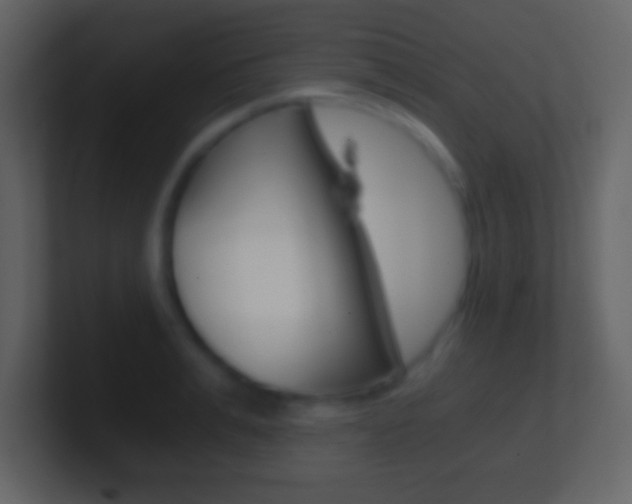 X0000101460991200807071128