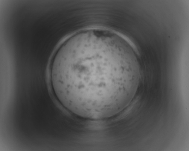 X0000101460998200807071128