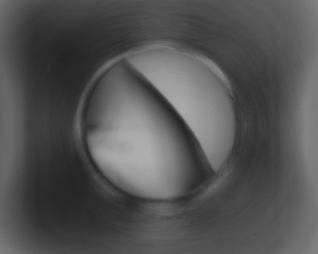 X0000101460999200807071128