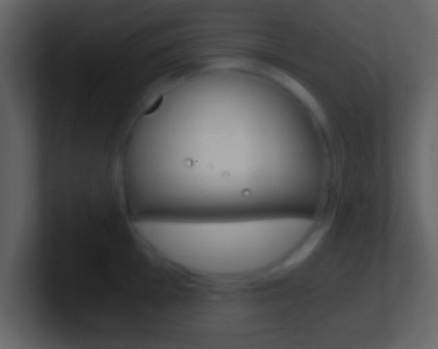 X0000101461001200807071128
