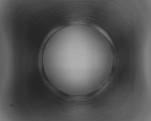 X0000101461002200807071128