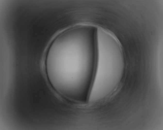 X0000101461005200807071128