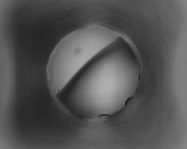 X0000101461008200807071128