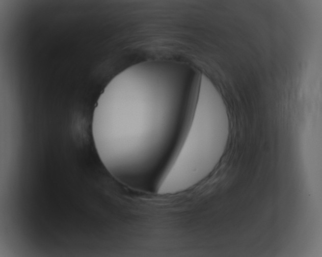 X0000101461010200807071127