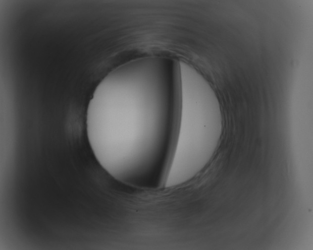 X0000101461012200807071127