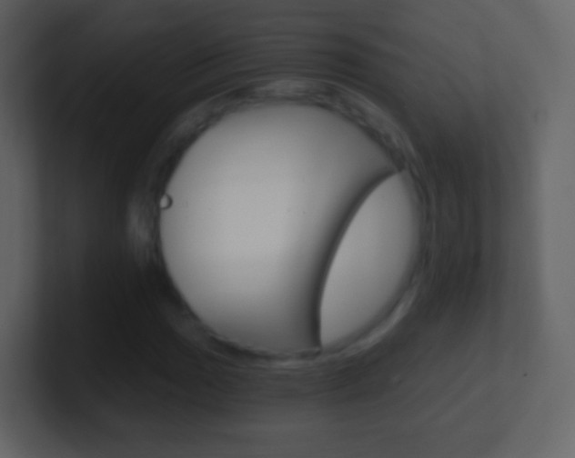 X0000101461017200807071127