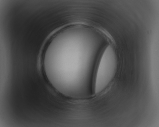 X0000101461020200807071127