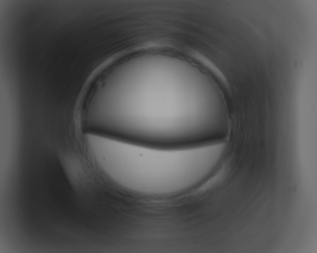 X0000101461021200807071127