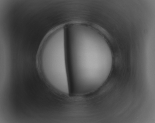 X0000101461024200807071127