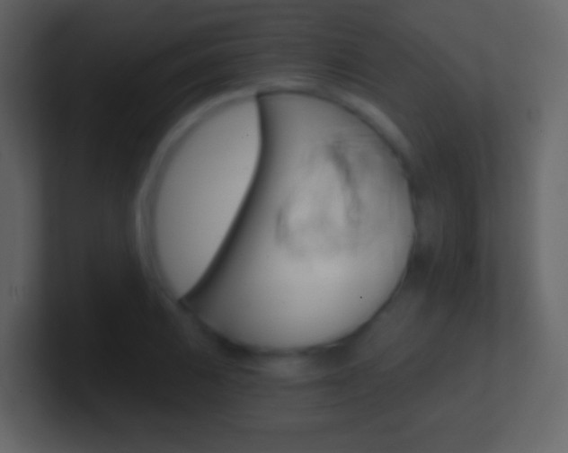 X0000101461031200807071128
