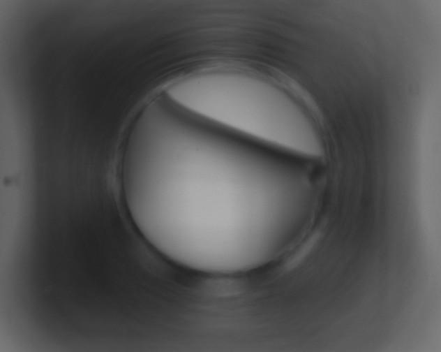 X0000101461033200807071128
