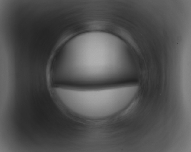 X0000101461034200807071128