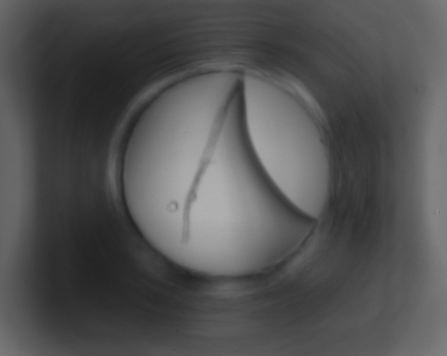 X0000101461035200807071128