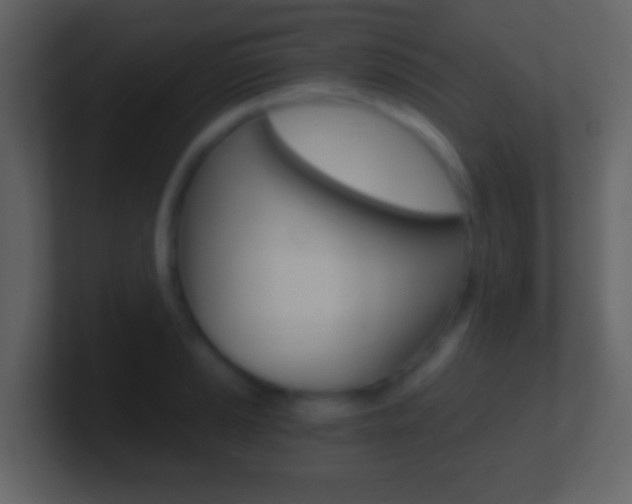 X0000101461037200807071128