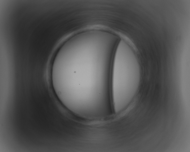 X0000101461038200807071128