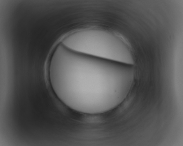 X0000101461039200807071128
