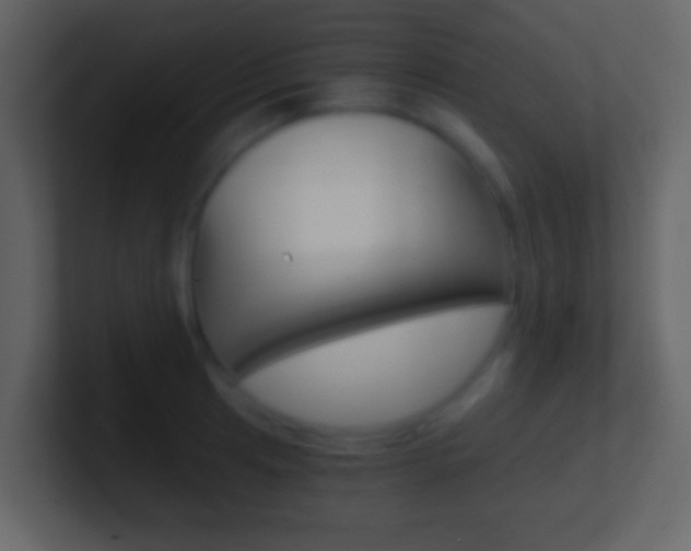 X0000101461041200807071128