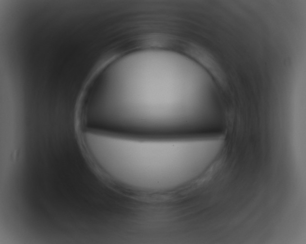 X0000101461042200807071128
