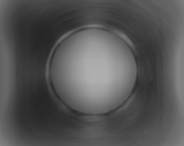 X0000101461044200807071128