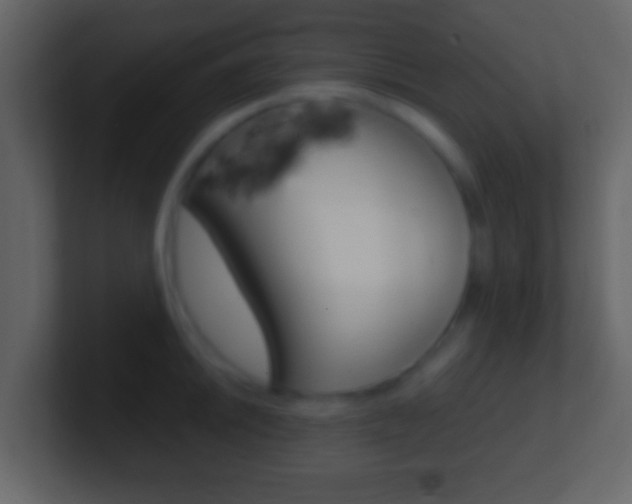 X0000101461046200807071128