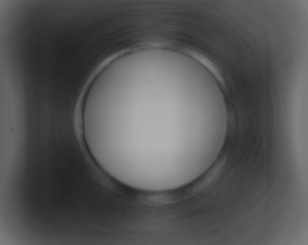 X0000101461047200807071128