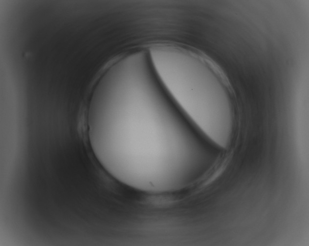 X0000101461049200807071128