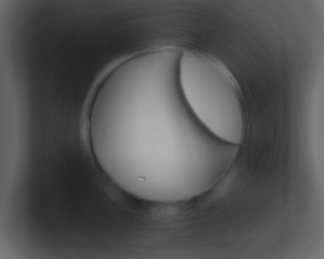 X0000101461051200807071128