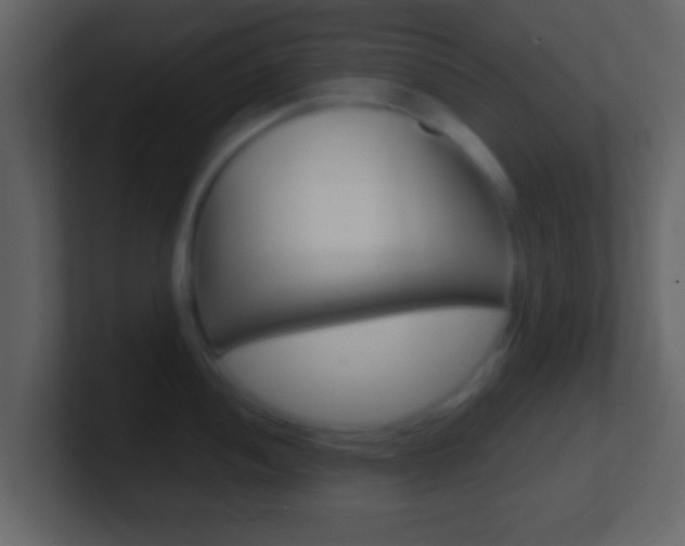 X0000101461052200807071128