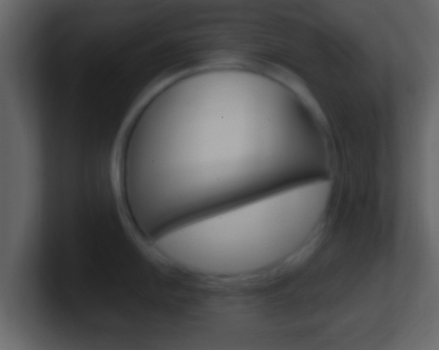 X0000101461054200807071128