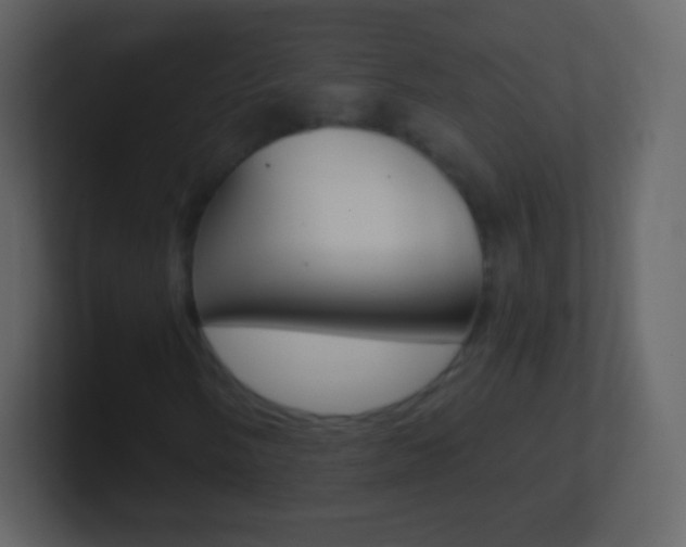 X0000101461058200807071127