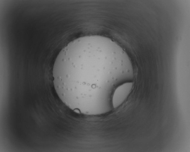 X0000101461059200807071127