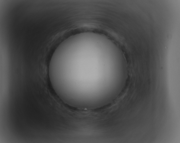 X0000101461061200807071127