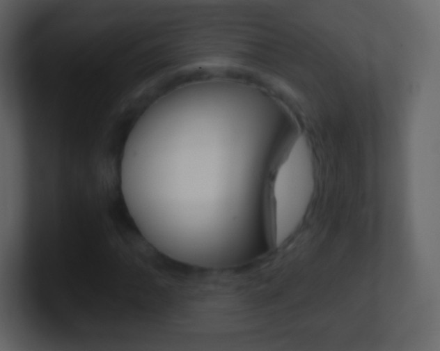 X0000101461062200807071127