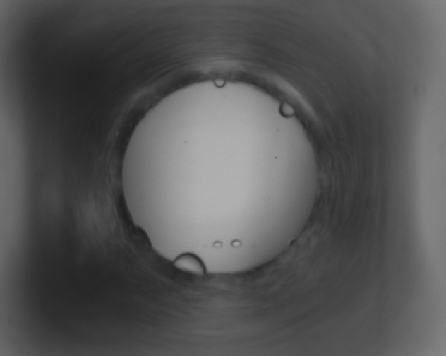 X0000101461063200807071127